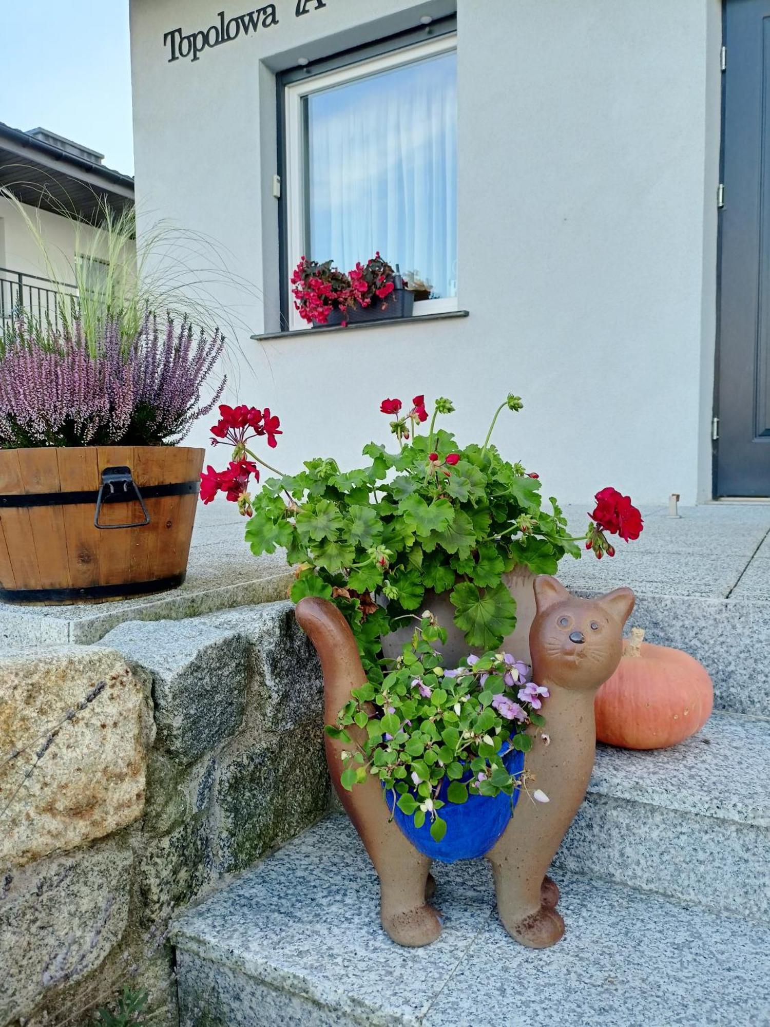 Apartamenty Jasienczyk Mielenko Buitenkant foto