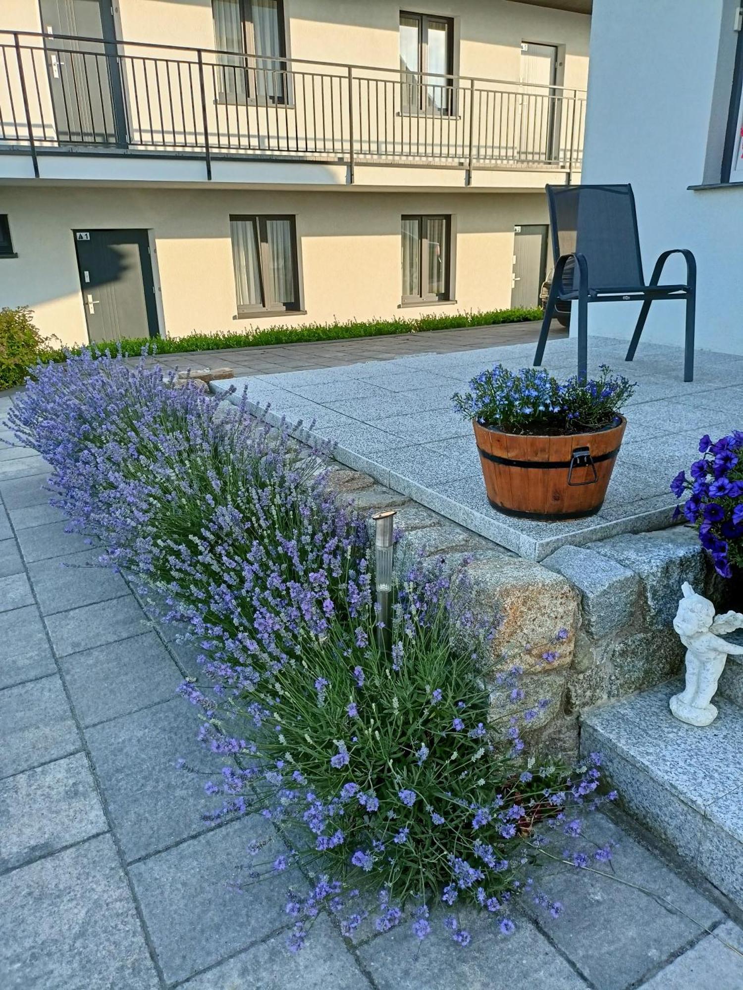 Apartamenty Jasienczyk Mielenko Buitenkant foto